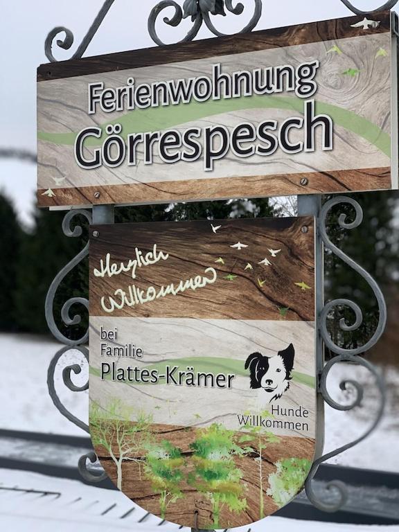 Hof Goerrespesch-Ferien Im Herzen Der Schneifel Schlausenbach Esterno foto