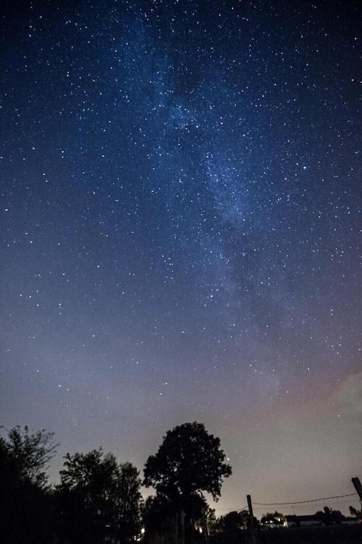 Hof Goerrespesch-Ferien Im Herzen Der Schneifel Schlausenbach Esterno foto