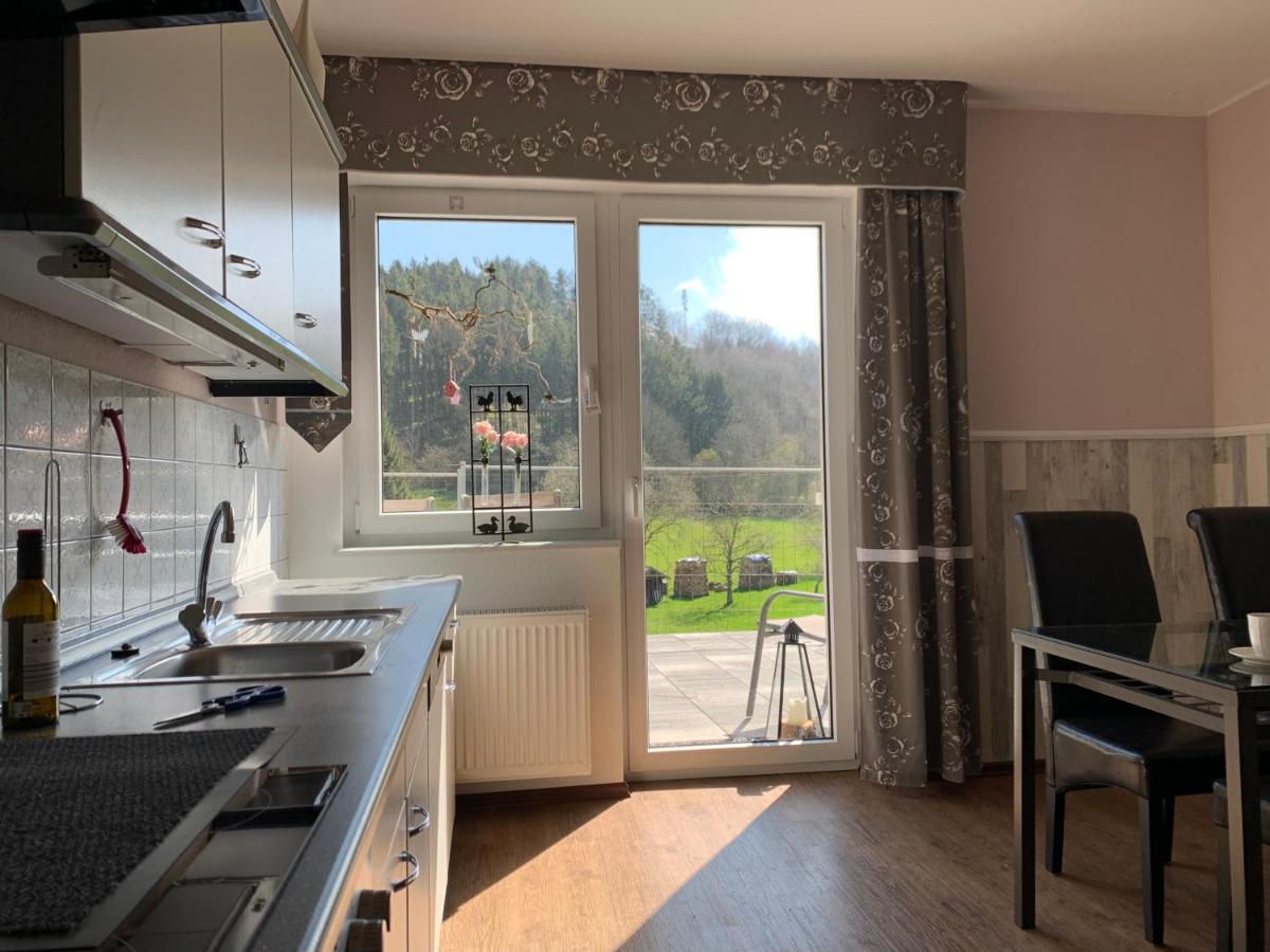 Hof Goerrespesch-Ferien Im Herzen Der Schneifel Schlausenbach Esterno foto